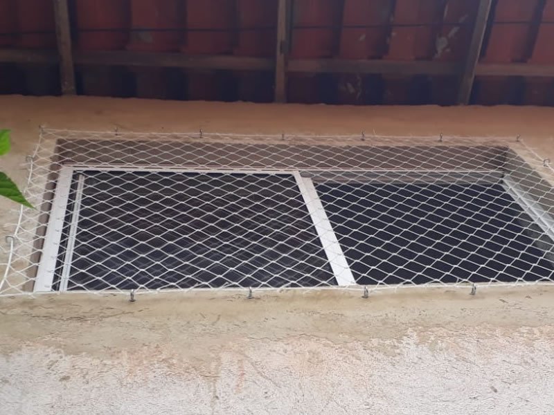 Redes de segurança para Gatos em Cuiabá