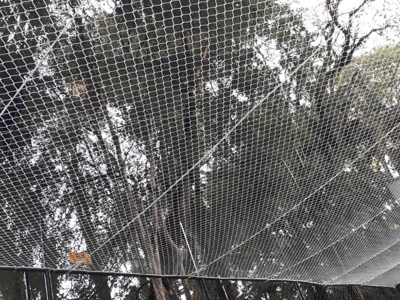 Instalação de rede de proteção em Chapada dos Guimarães