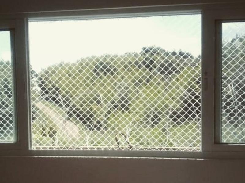 Garanta a segurança de animais com tela de proteção em CPA II, Cuiabá
