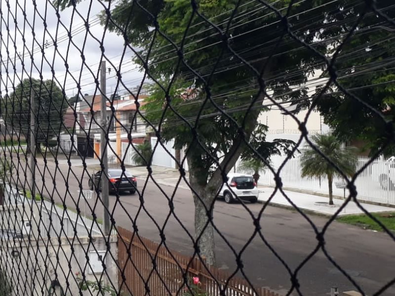 Proteja animais com rede protetora em Ribeirão do Lipa, Cuiabá