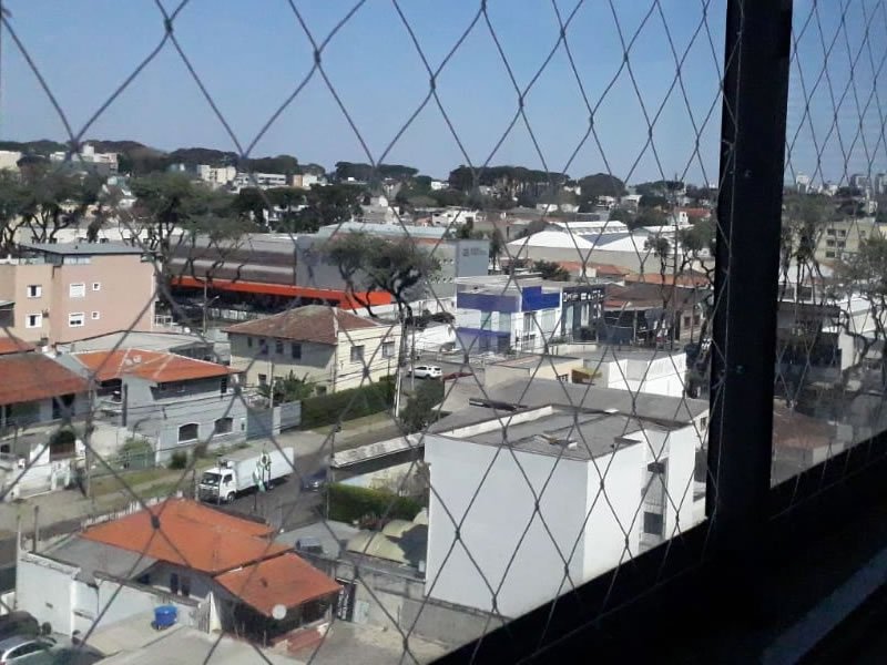Rede de Proteção para Gatos em Cuiabá Rede de Proteção para Gatos em Cuiabá